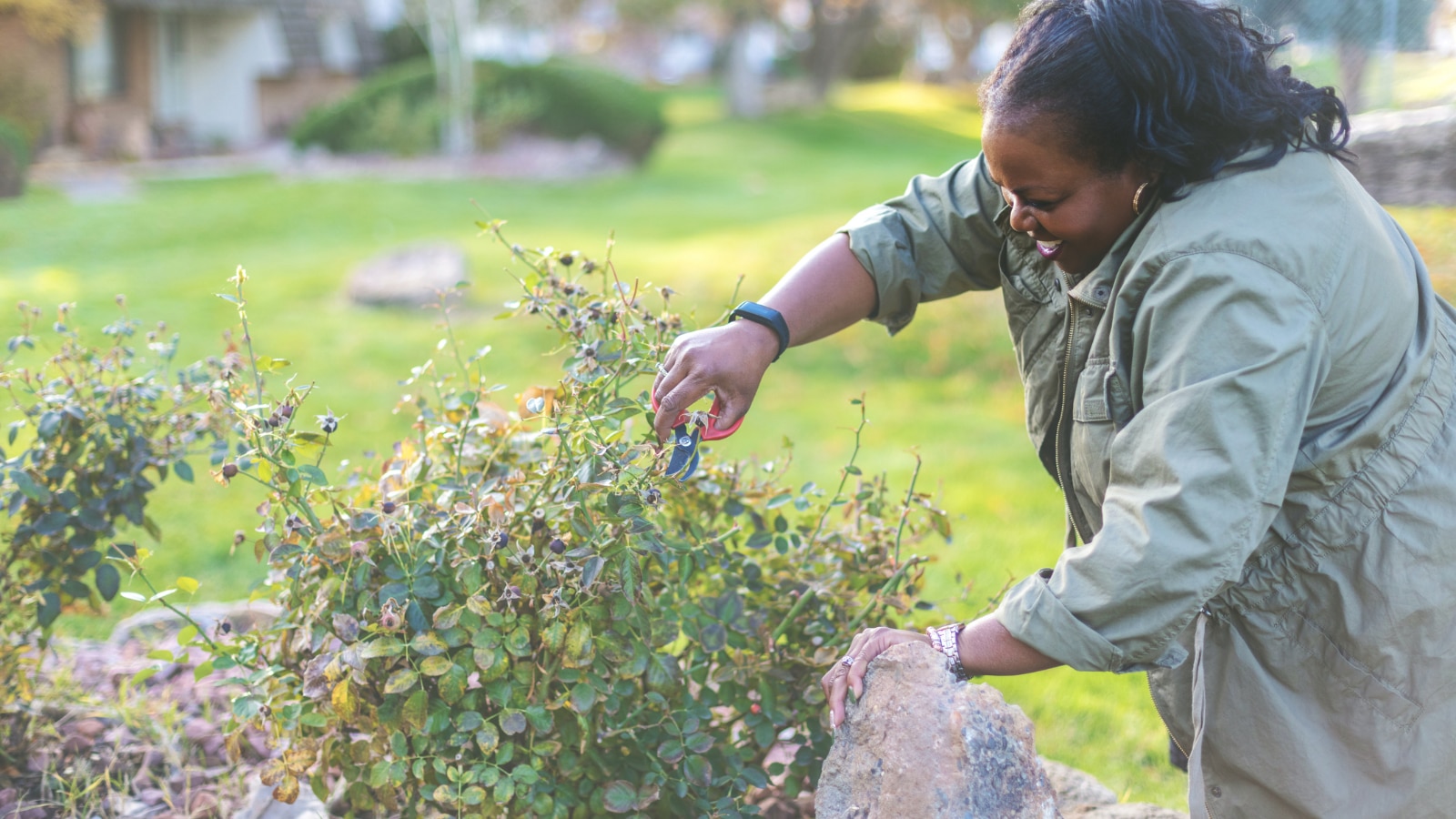 African American female homeowner trimming shrubs